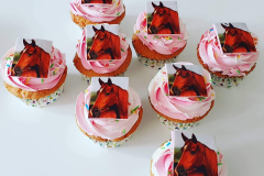 IMG_20210516_130822_265