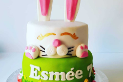 IMG_20190630_200252_323