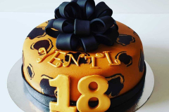 IMG_20200215_185041_525