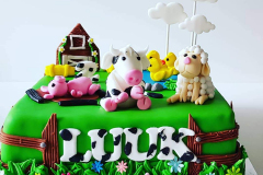 IMG_20200222_170548_409