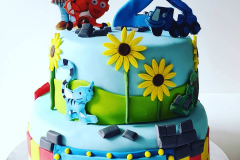 IMG_20200704_160637_103