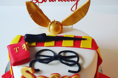 IMG_20210114_200846_467-scaled